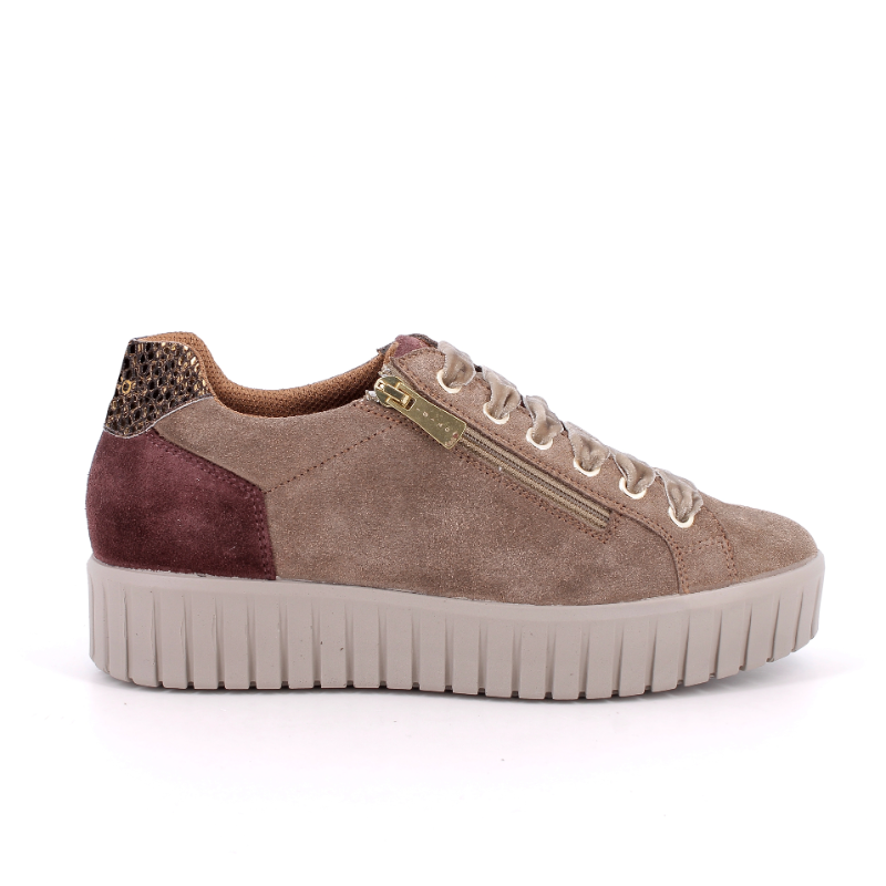 Patike IGGY&CO 2168644