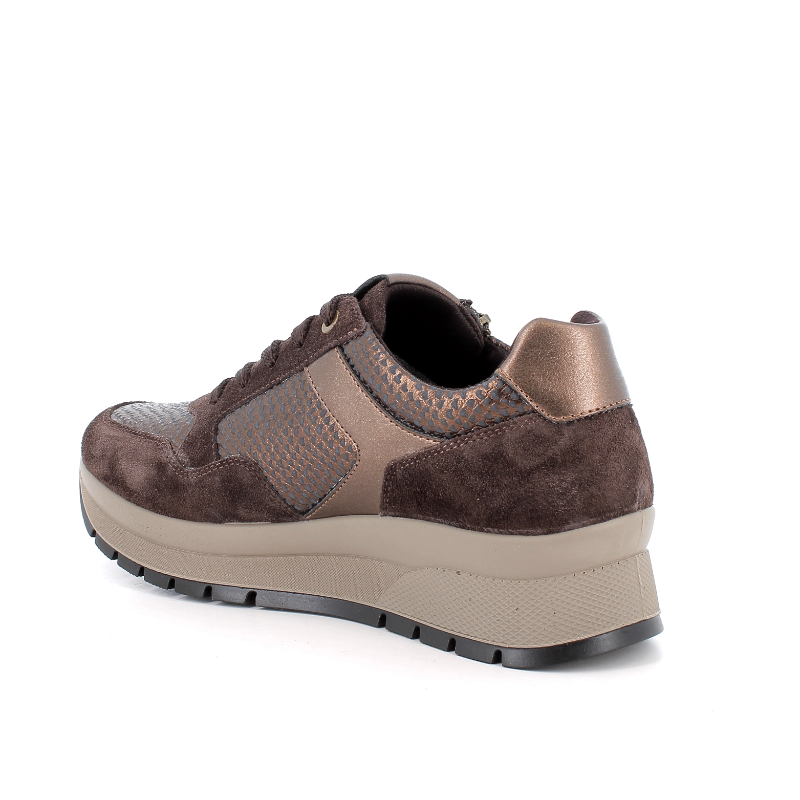 Cipele IGI&CO 2173111