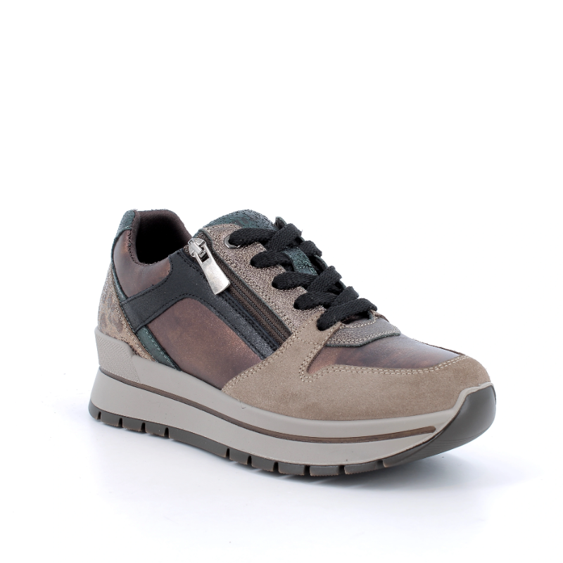 Cipele IGGY&CO 2174122