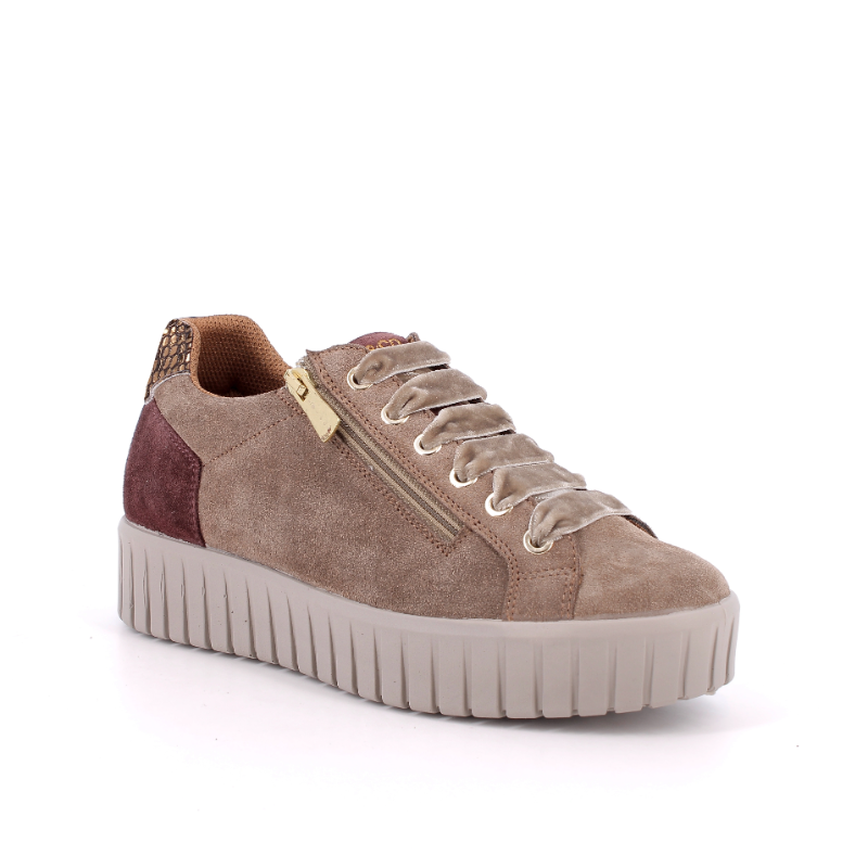 Patike IGGY&CO 2168644