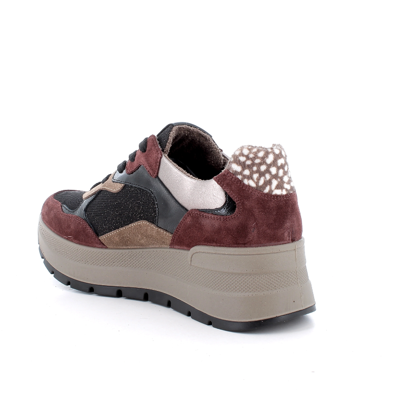 Patike IGGY&CO 2175411